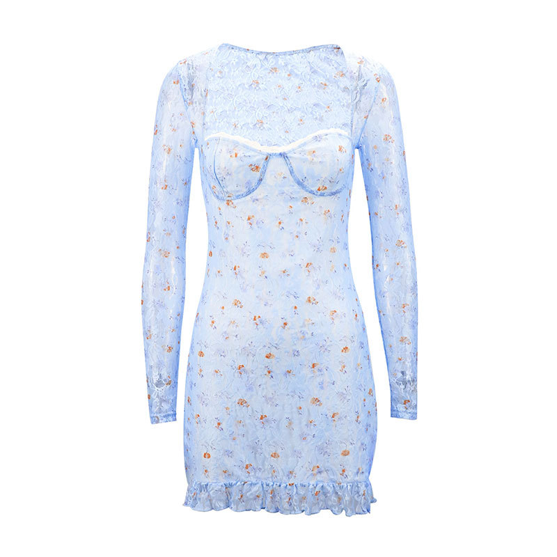 Long Sleeve Sheer Fitted Short Dress