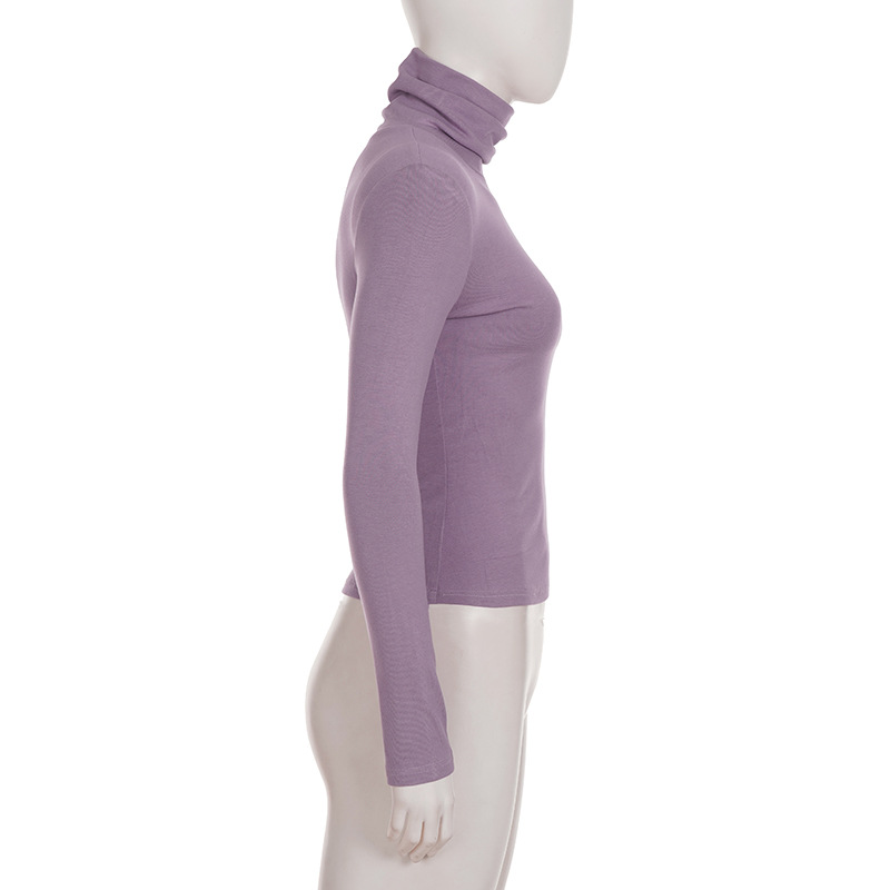 Fitted Wrist-Length Turtleneck Knitted Tee