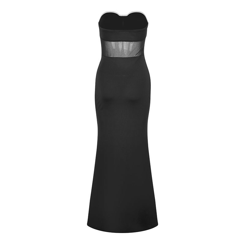 One Shoulder Sleeveless Long Asymmetric Fitted Dress