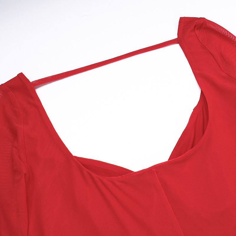 Sheer V-Neck Bodycon Full Sleeve Polyester Dress