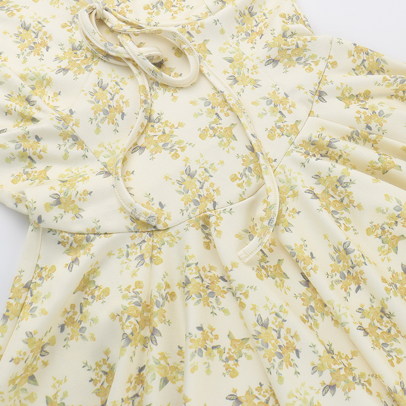 A-Line High Waist Short-Sleeve V Neck Botanical Dress