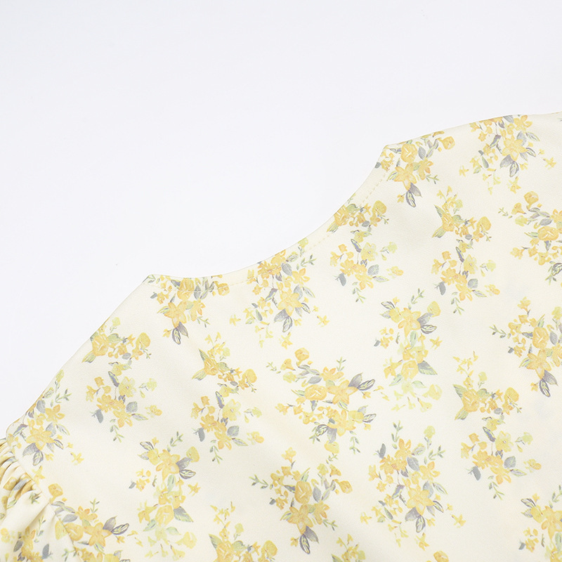 A-Line High Waist Short-Sleeve V Neck Botanical Dress