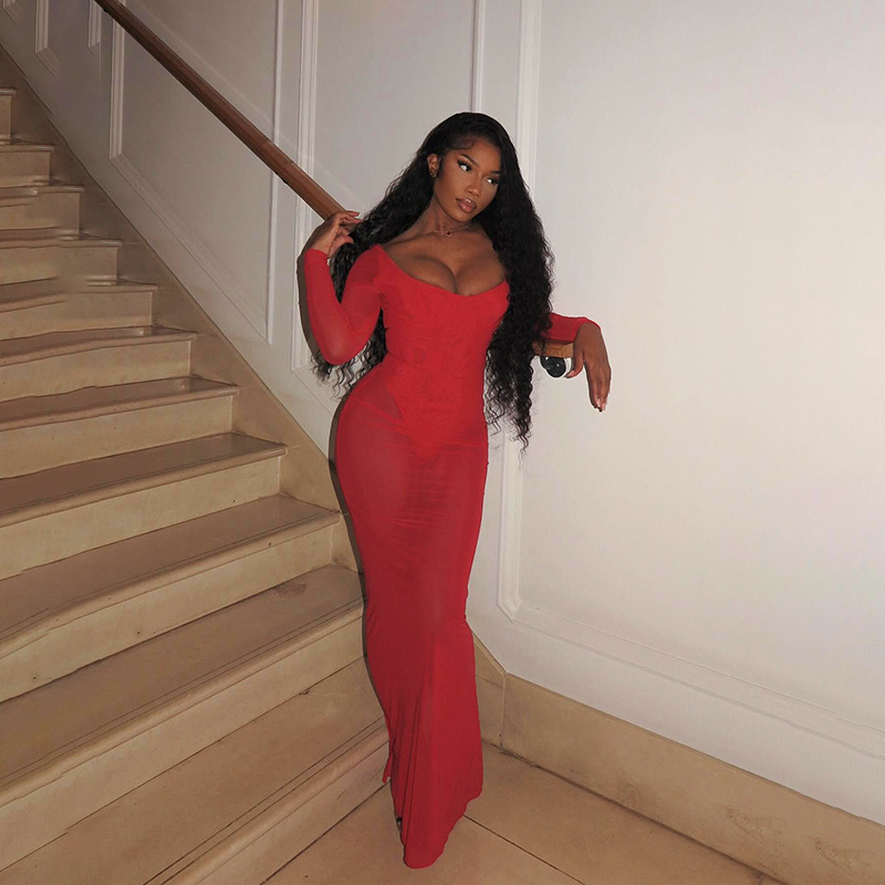 Sheer V-Neck Bodycon Full Sleeve Polyester Dress