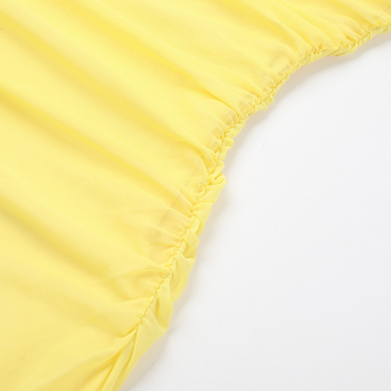 Plain Round Neck Sleeveless Fitted Sheer Polyester Dress