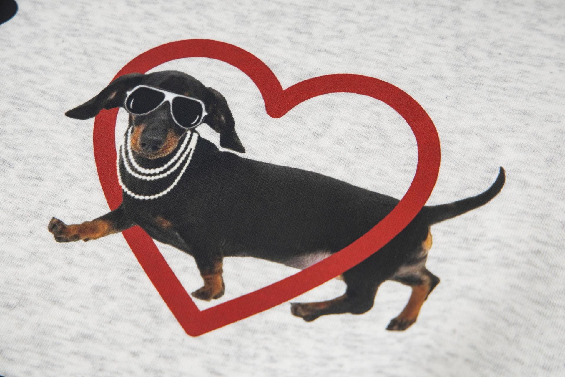 Oversized Cotton Long Sleeve Dachshund Hoodie
