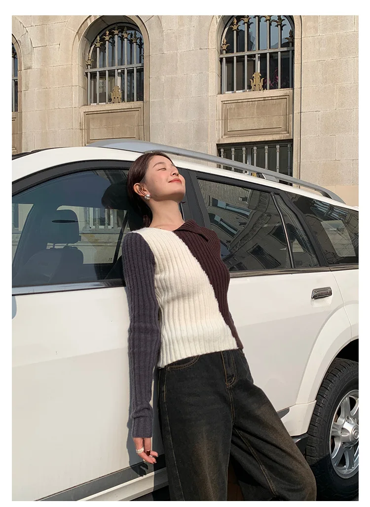 Ladies Viscose Fitted Crewneck Colorblock Cozy Sweater