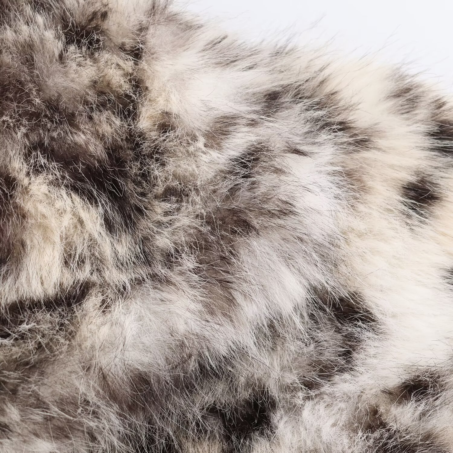 Animal print synthetic fur jacket