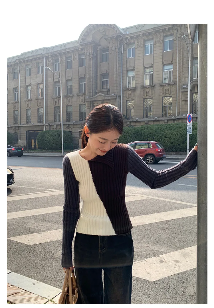 Ladies Viscose Fitted Crewneck Colorblock Cozy Sweater