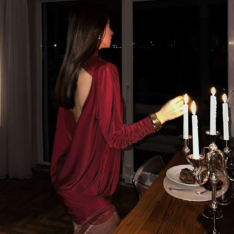 Plain Open Back Bodycon Turtleneck Full Sleeve Dress