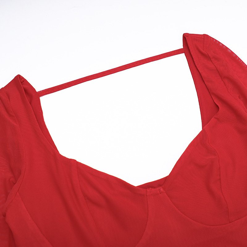 Sheer V-Neck Bodycon Full Sleeve Polyester Dress
