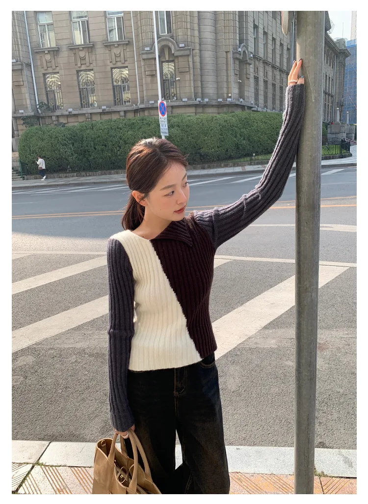 Ladies Viscose Fitted Crewneck Colorblock Cozy Sweater