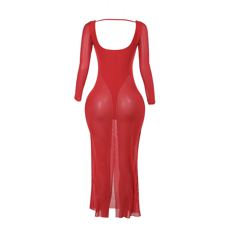 Sheer V-Neck Bodycon Full Sleeve Polyester Dress