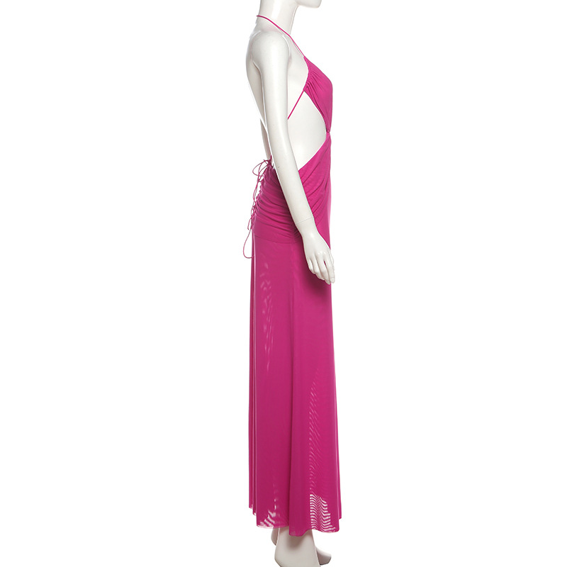 Sheer Tie Neck Open Back Maxi Dress