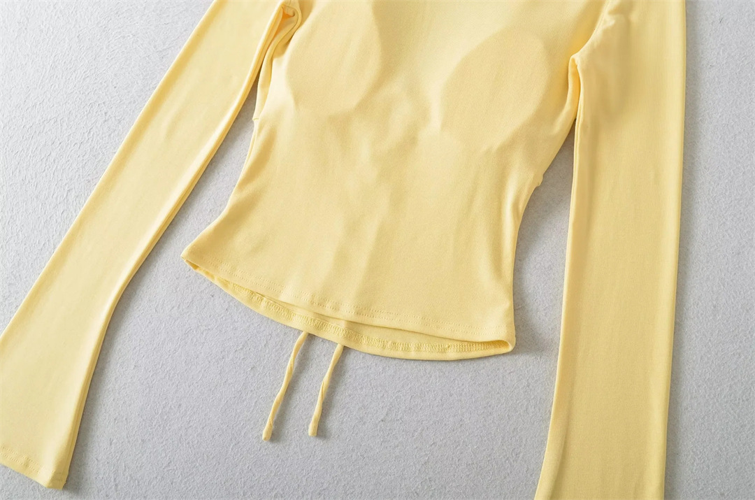 Solid Private Lady Plunge Neckline Slim Fit Top