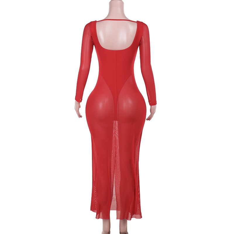 Sheer V-Neck Bodycon Full Sleeve Polyester Dress