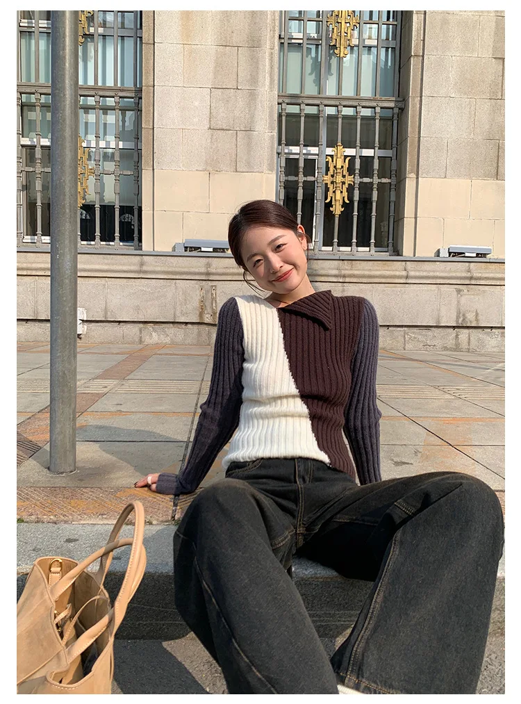 Ladies Viscose Fitted Crewneck Colorblock Cozy Sweater