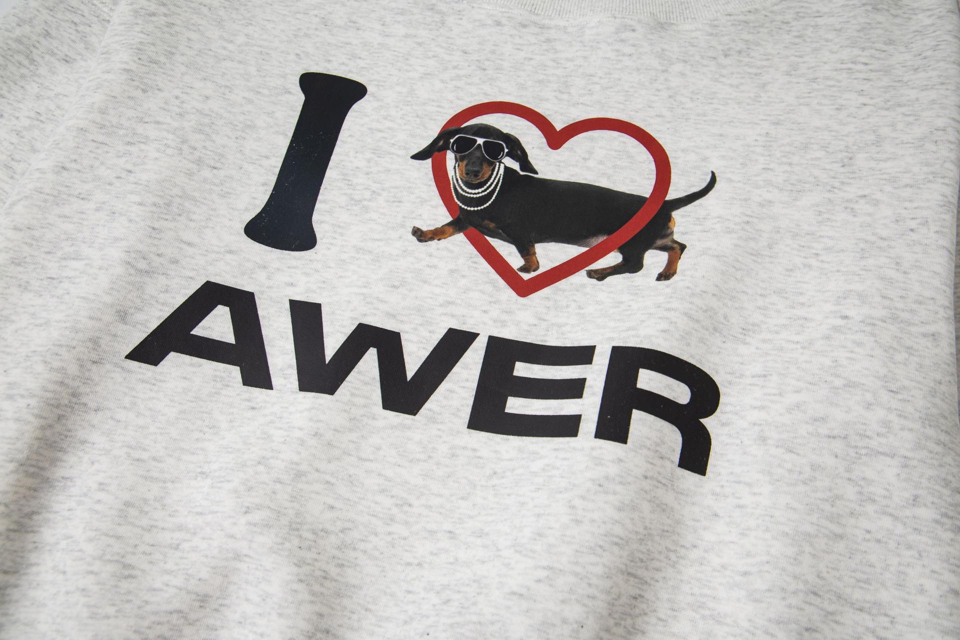Oversized Cotton Long Sleeve Dachshund Hoodie