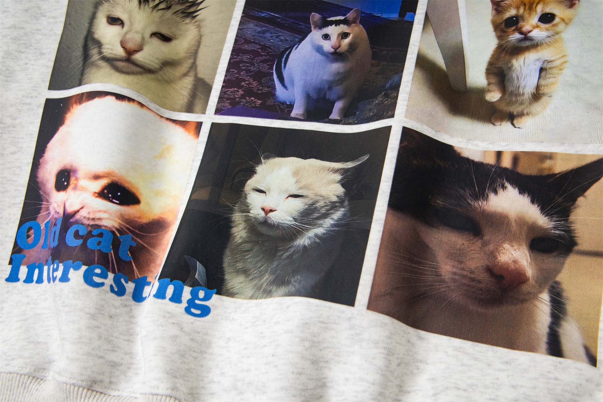 Cotton Feline Graphic Hoody