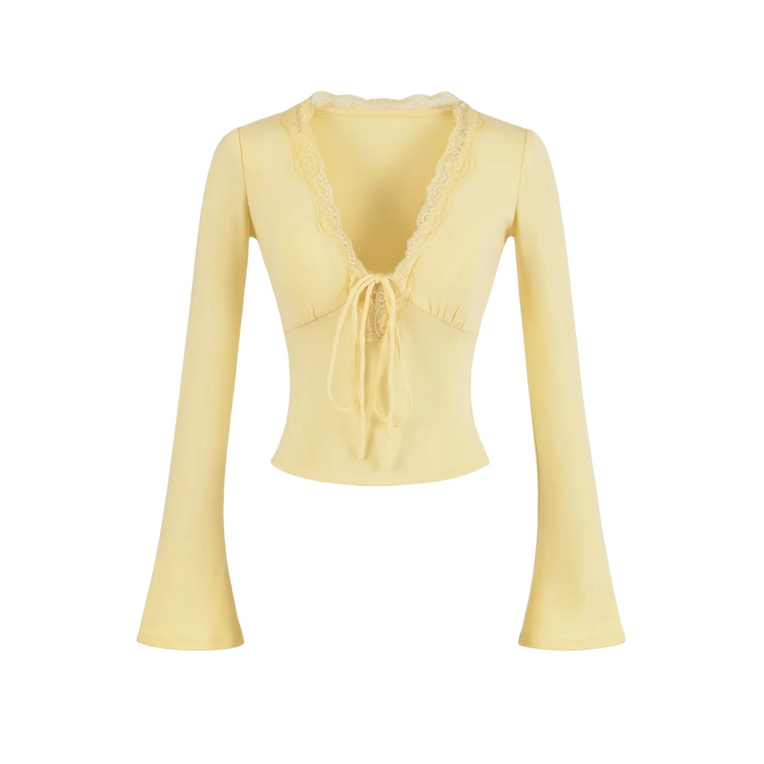 Solid Private Lady Plunge Neckline Slim Fit Top