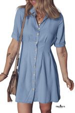Myosotis Pleated High Waist Short Sleeve Shirt Dress - Image 21