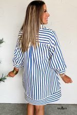 Blue Striped Collared Half Button Side Pockets Loose Fit Mini Dress - Image 2
