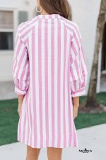 Rose Striped Long Sleeve Buttons Loose Mini Dress - Image 2